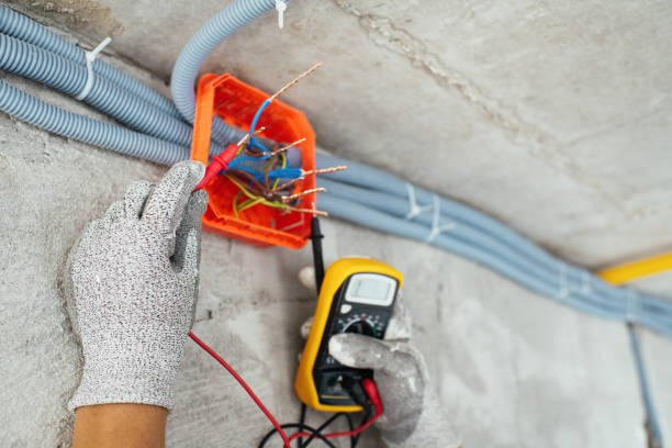 Best Electrical System Inspection  in Heritage Lake, IL